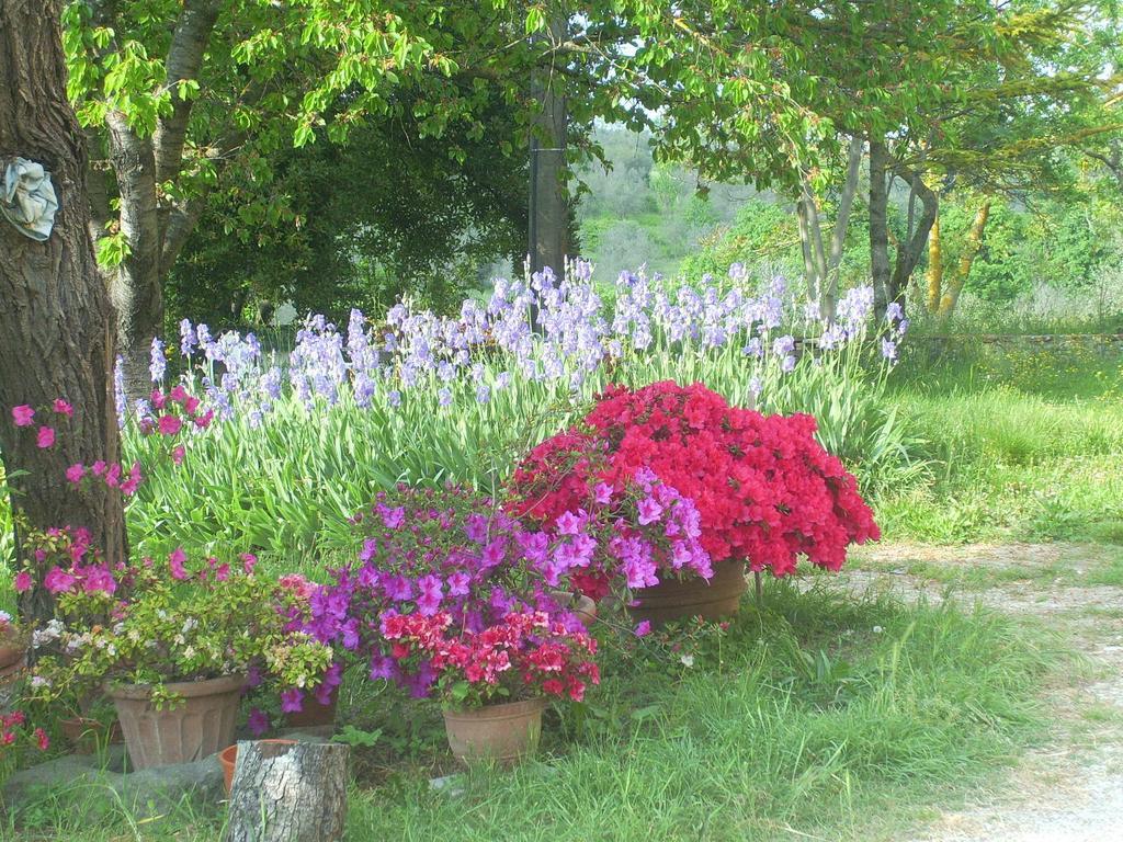 B&B Il Giglio Etrusco San Casciano in Val di Pesa Exterior photo