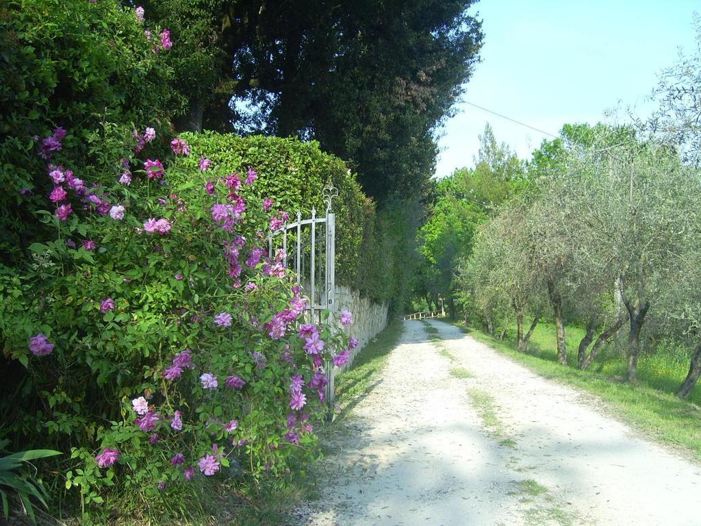 B&B Il Giglio Etrusco San Casciano in Val di Pesa Exterior photo