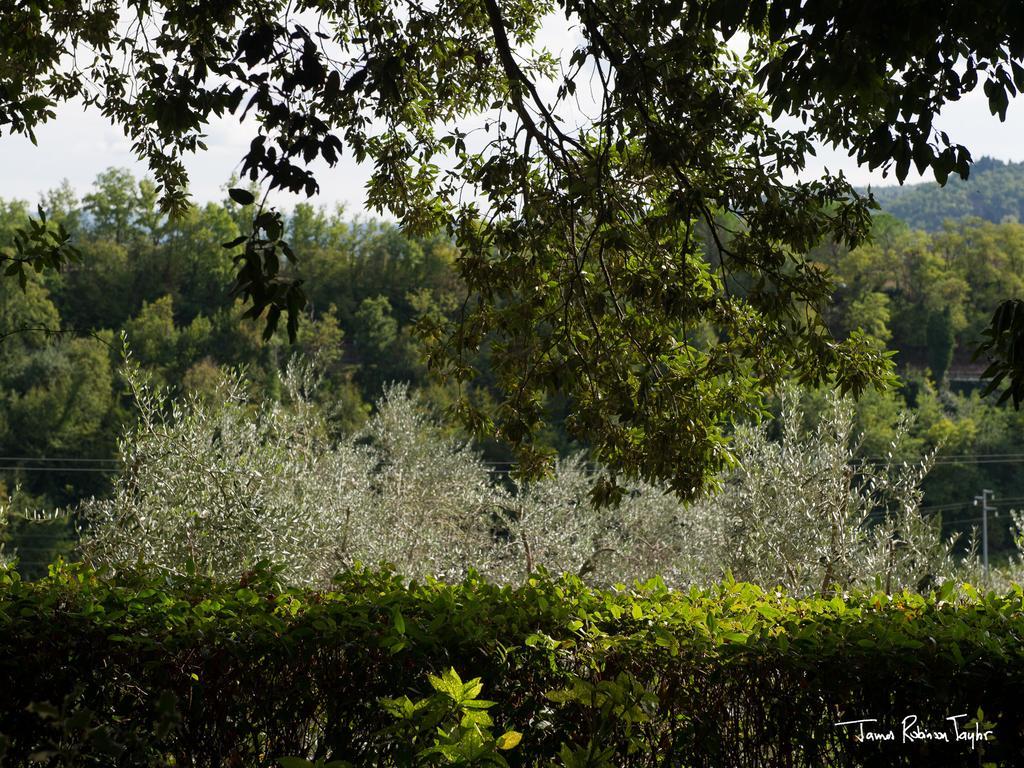 B&B Il Giglio Etrusco San Casciano in Val di Pesa Exterior photo