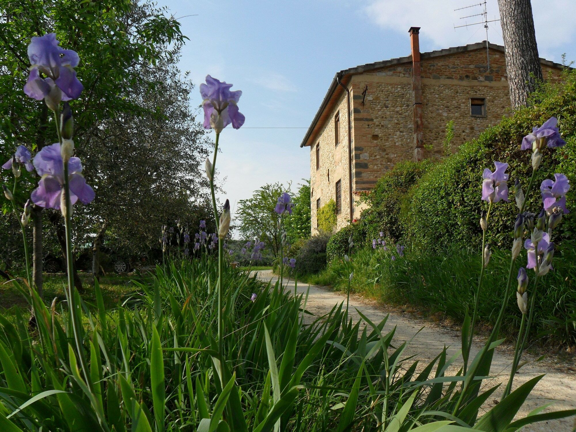 B&B Il Giglio Etrusco San Casciano in Val di Pesa Exterior photo